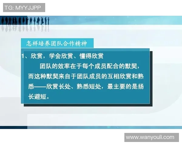 杭州足球队的默契配合揭秘：从战术到团队精神的深度解析