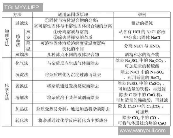科学排球训练指南：提升耐力的有效方法与技巧分享