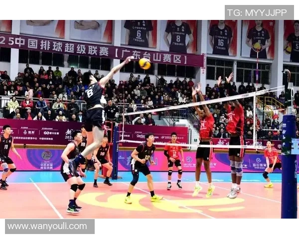 广州排球队灵活性变革引发热议助力球队新征程