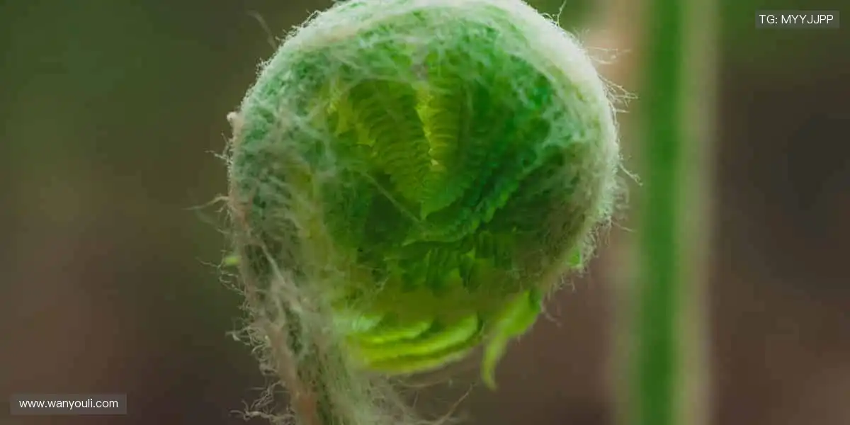 ⚡️ 实时比分,掌握赛事脉搏!